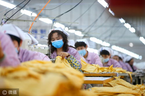 微摄第一现场 2021年第49天 图片里的世界