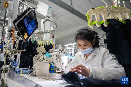 湖南沅江 服饰产业 智 造上线
