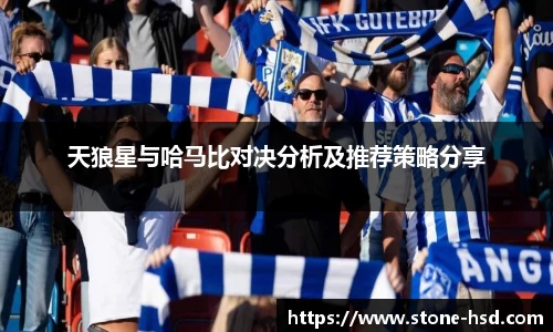 天狼星与哈马比对决分析及推荐策略分享