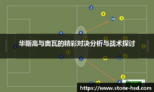 华斯高与奥瓦的精彩对决分析与战术探讨