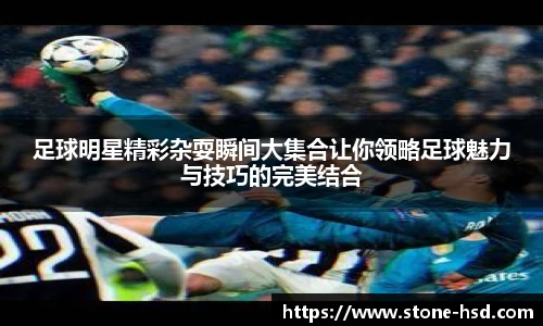 NG体育官网