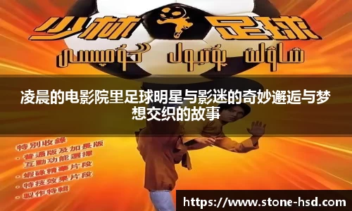 凌晨的电影院里足球明星与影迷的奇妙邂逅与梦想交织的故事